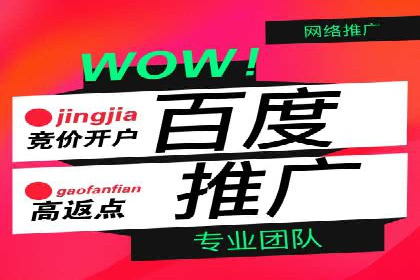 某电商平台的SEM推广策略及效果分析